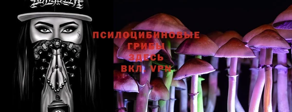 стафф Алексеевка
